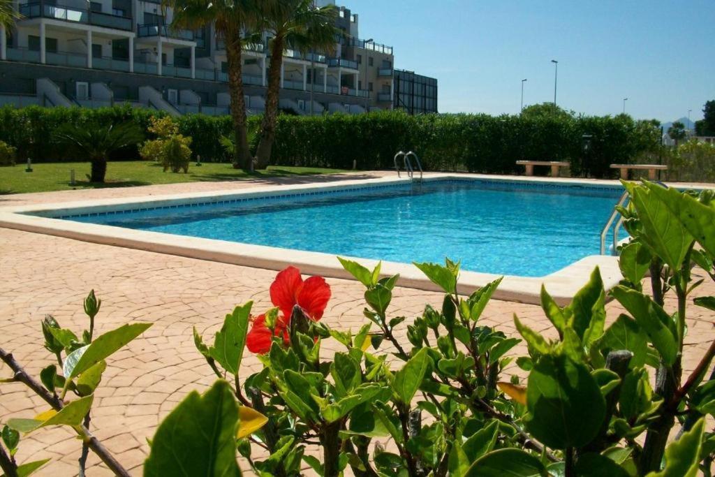 Апартаменты Oasis Hoyo 12 - Oliva Nova Playa Met&Golf Экстерьер фото